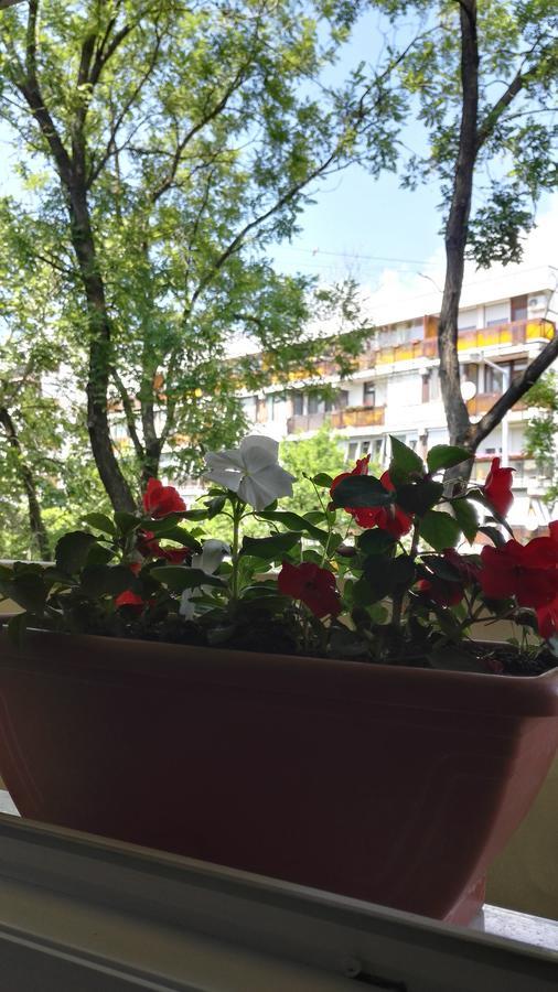 Csipke Apartman Makó Exterior foto
